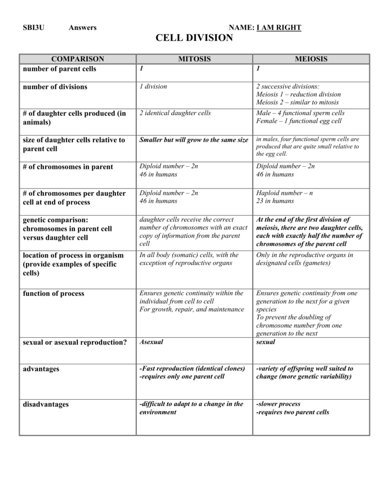 Parent and child discussing a biology diagram at a table