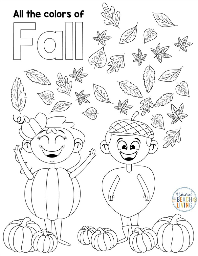Kindergarten student coloring a worksheet showing trees changing colors in autumn