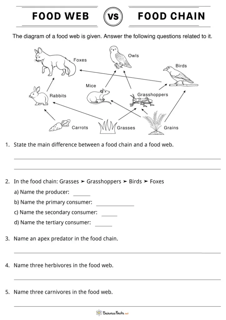 Teacher showing a classroom of students how to draw food chain arrows