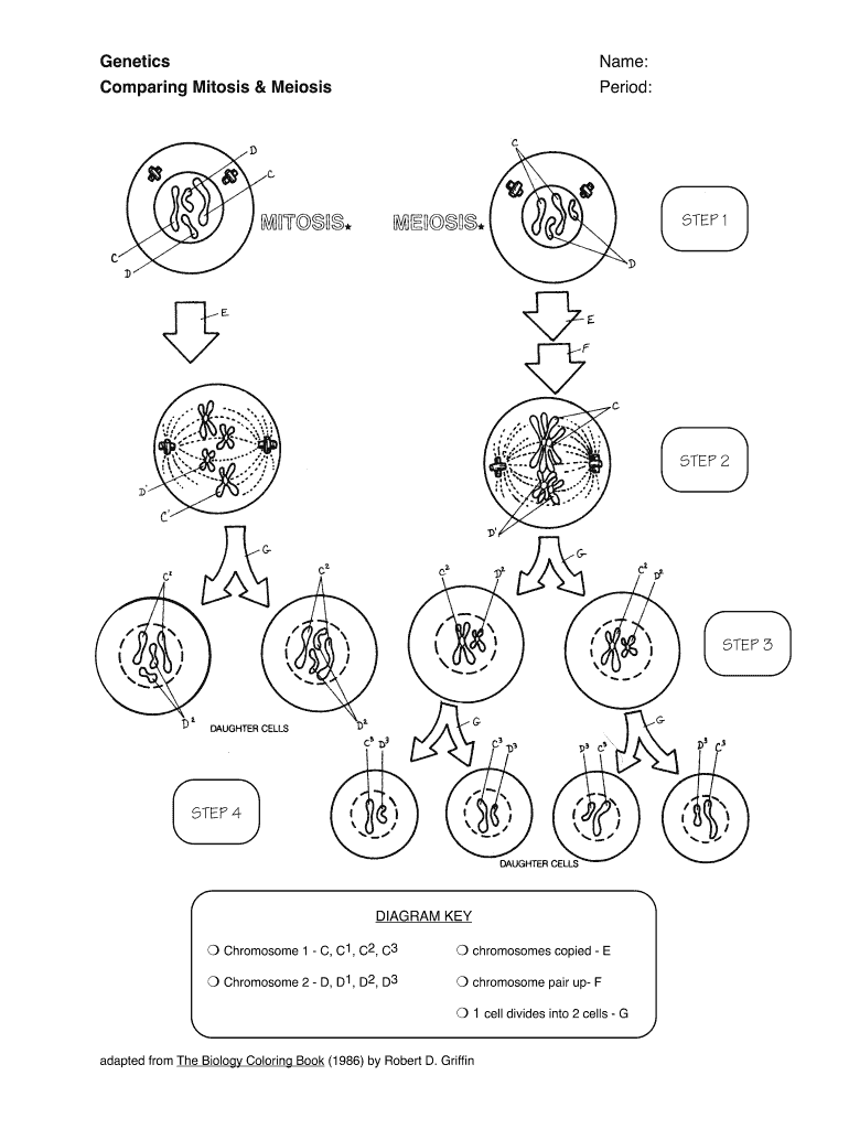 Student filling out a cell biology diagram on a worksheet
