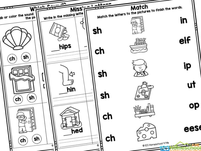 An open storybook showing highlighted words that contain the SH digraph