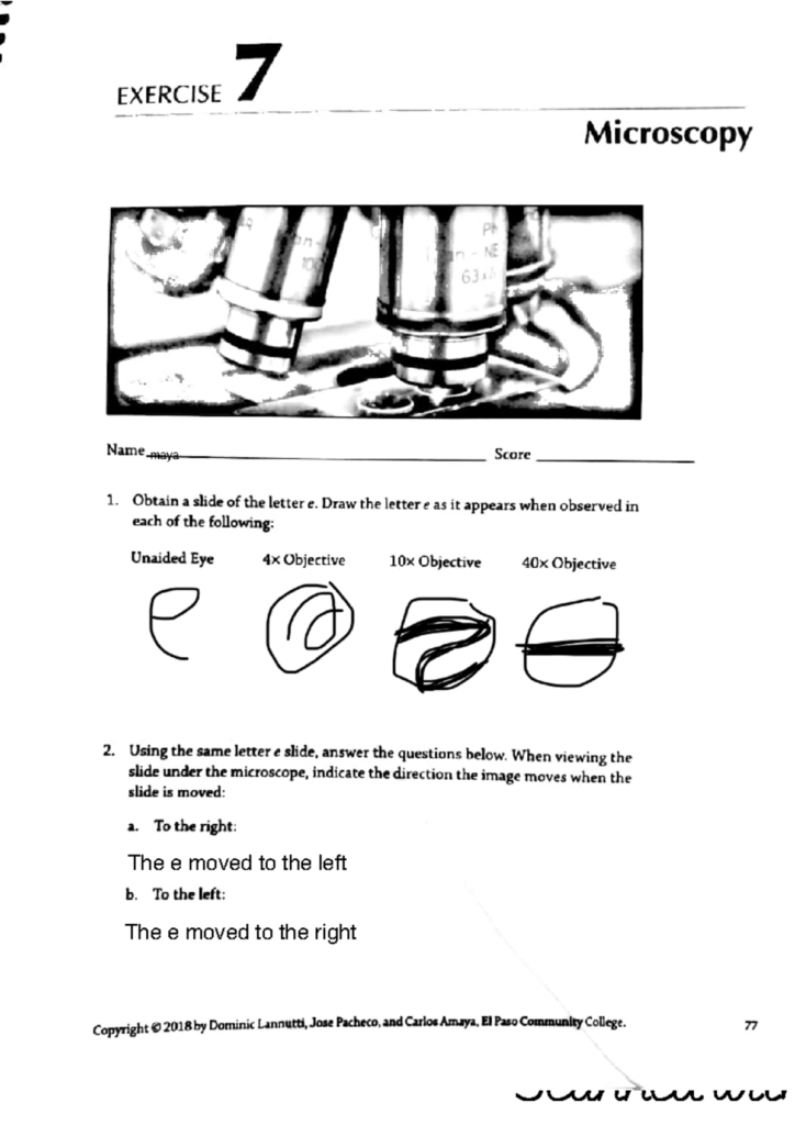 Teacher pointing at a graph on a paper lab report
